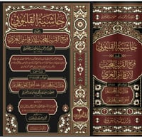 حاشية القليوبي على فتح القريب المجيب لابن قاسم الغ...