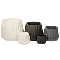 فازة ورود أنيقة – لمسة جمالية تضفي سحر الطبيعة على...