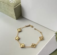 اسواره فان كليف