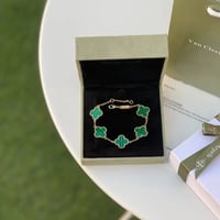 اساور فان كليف