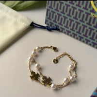 اسواره توري بورش