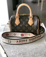 شنطة لويس فيتون