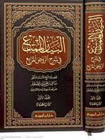 البيان الممتع في شرح الروض المربع ج 1