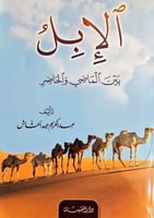 الابل بين الماضي والحاضر