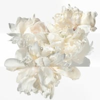 عينة عطر نسائي او جنجر تويلي هيرمس او دو برفيوم ال...