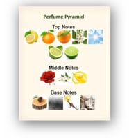 عينة N5 ليو شانيل او دو تولت 1,5ML