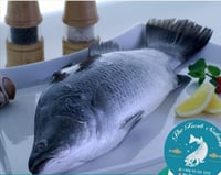 قاروص /رسيباس 3 كيلو