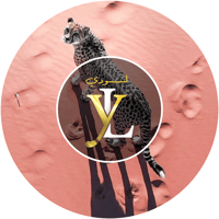 store avatar
