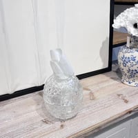 علبة مناديل زجاج