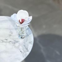 فازة ورد منسق