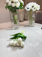 ورد توليب اوف وايت