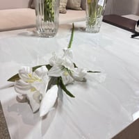 غصن لليوم ابيض 6998