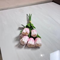 ورد توليب بمبي