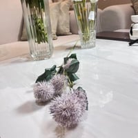 غصن سيرسيوم موف