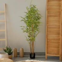 شجرة البامبو