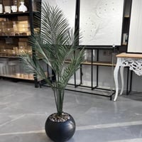 شجرة اريكا 150 سم اسود