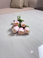 ورد توليب بمبي