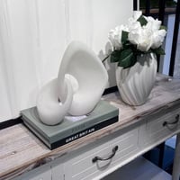 تحفة فاخرة ريزن