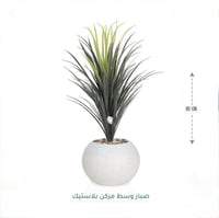 شجرة صبار 95سم