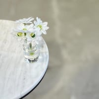 فازة ورد منسق