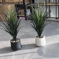 شجرة صبار 100 سم