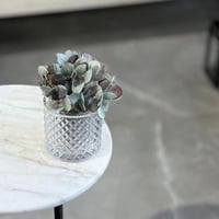 فازة ورد منسق