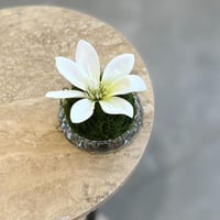 ورد منسق خدمة