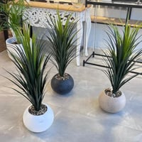 شجرة صبار 95سم