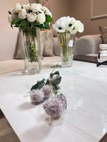 غصن سيرسيوم موف