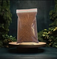 رشاد القصيم