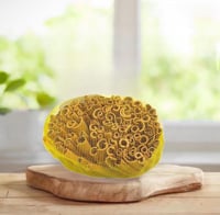 قرفه فيتناميه