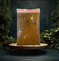 حلبة القصيم