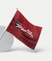 علم قصر باور