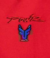 بروش مغناطيس FRL