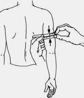 اكمام باور بيضاء