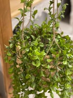 مركن زرع صناعي مكرمية