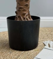 شجرة صناعية خضراء CYCAS REVOLUTA