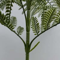 شجر صناعي ACACIA