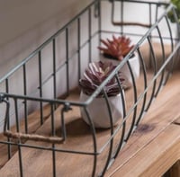 رف زرع حديد