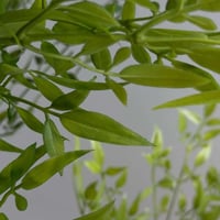 شجر صناعي GRNO