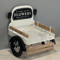 ستاند نباتات