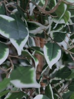 شجر صناعي GRNO