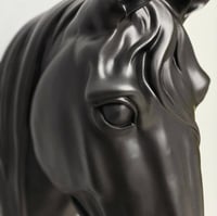 راس حصان جداري