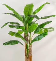 شجرة صناعية خضراء MUSA