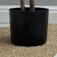 شجر صناعي ACACIA