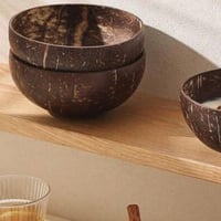 وعاء تقديم من جوز الهند الطبيعي