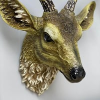 راس غزال جداري