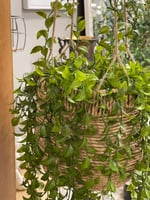 مركن زرع صناعي مكرمية