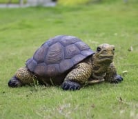 مجسم سلحفاة