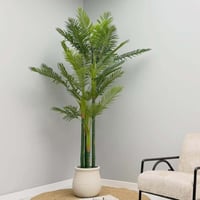 شجر صناعي KENTIA